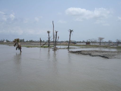 Foto Klimawandel