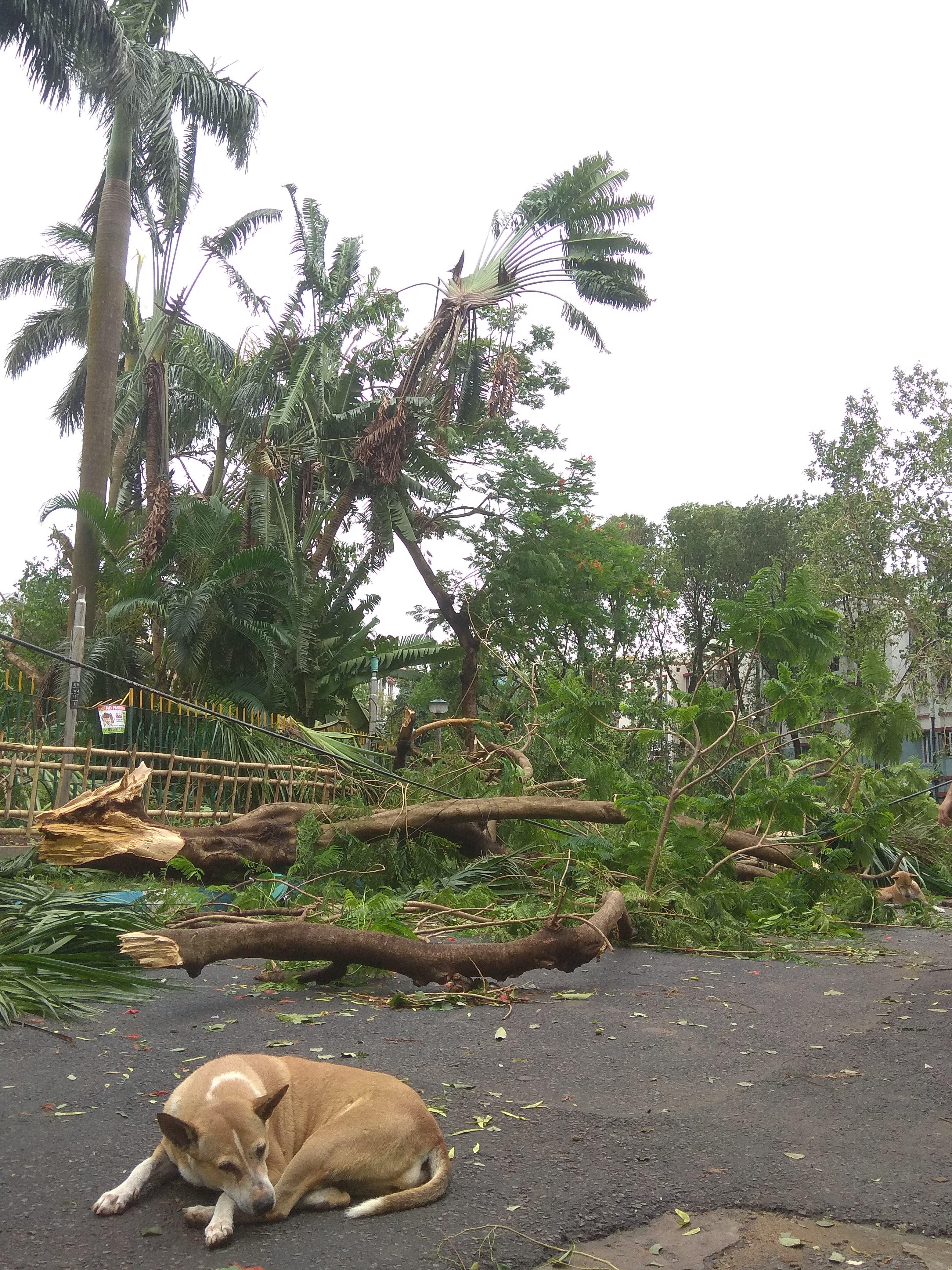 Zerstörung durch Zyklon Amphan