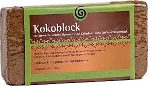 Kokoblock_01